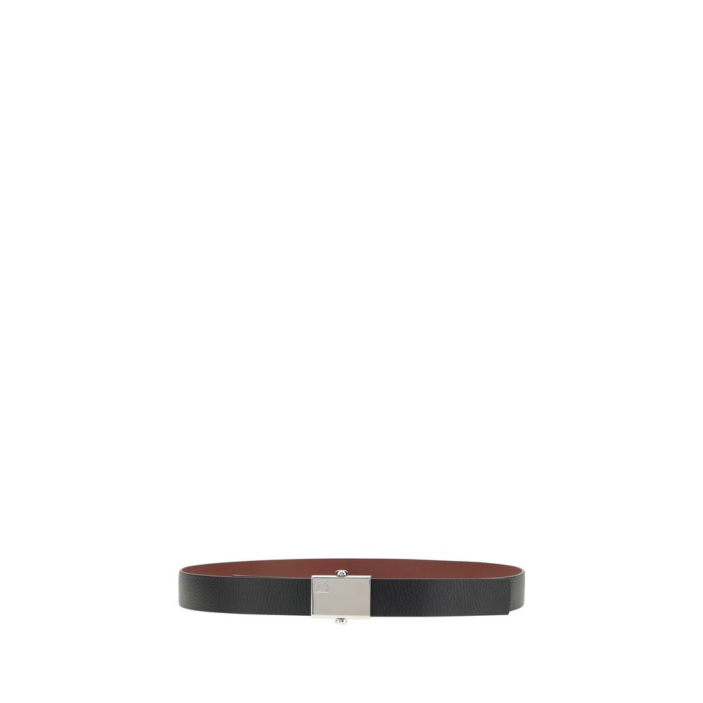 Reversible Belt